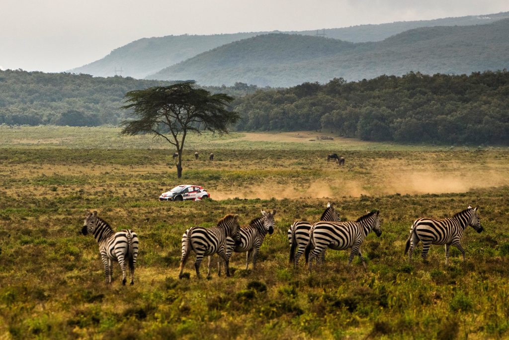 Sébastien Ogier - Rally Safari Kenya 2023